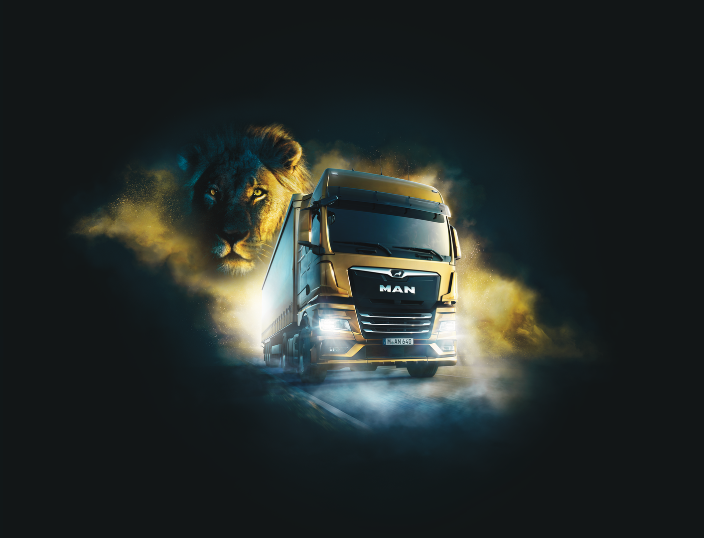MAN_NTG_TGX_Lion.tif (3)